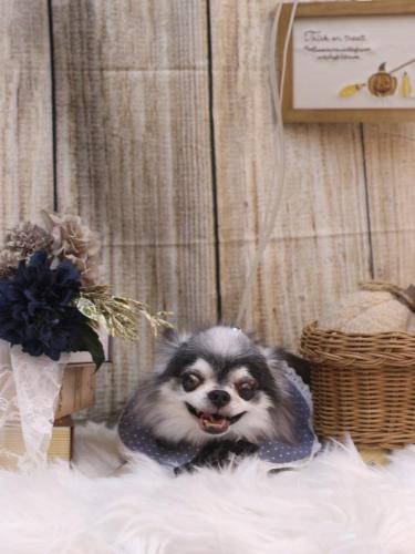 20241012クオンくん